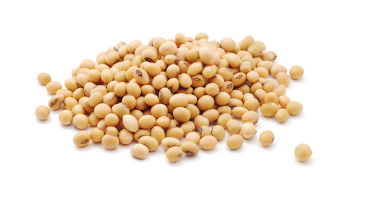 Soybean for candles
