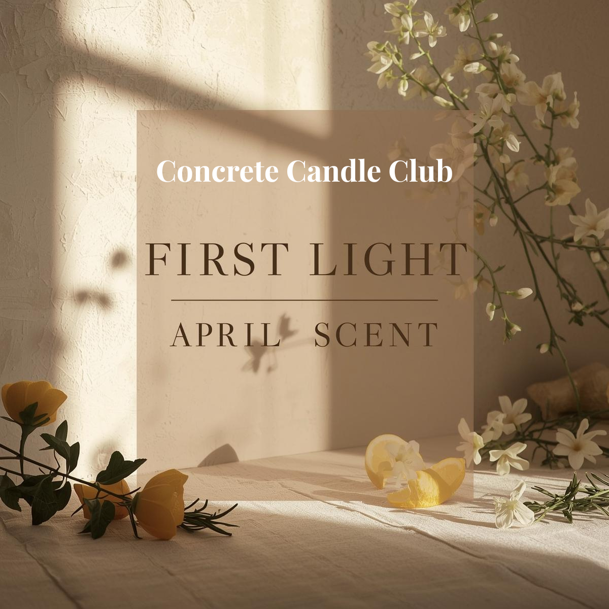 Concrete Candle Club 📦 Monthly Subscription