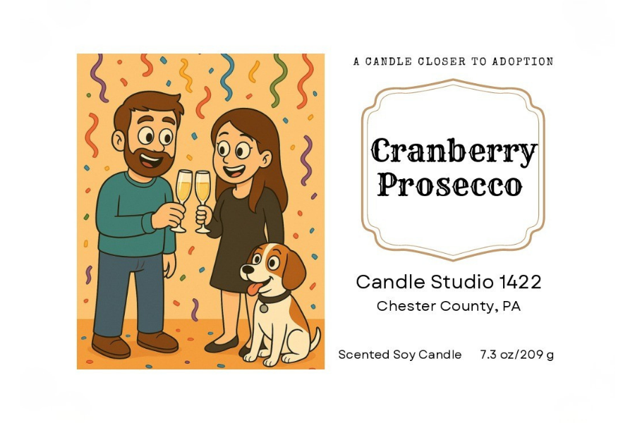 Nappi Family Fundraising Candle - Cranberry Prosecco Scent - Soy Candle
