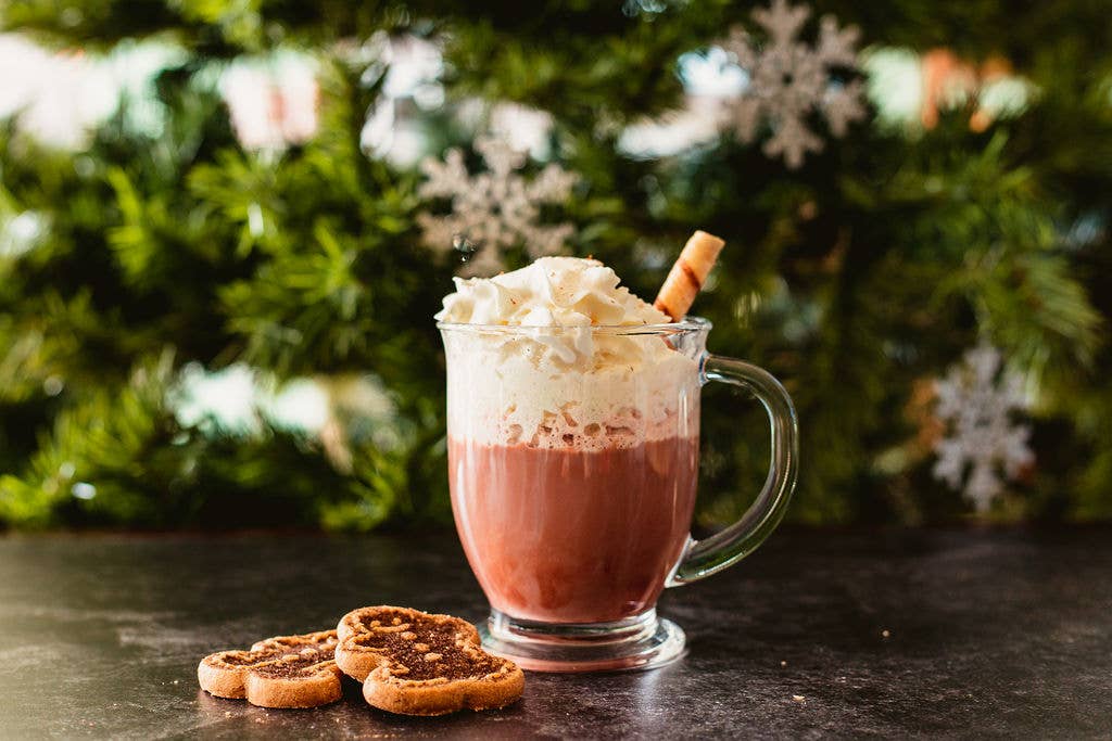 Gingerbread Cookie Alcohol Infusion Cocktail Kit