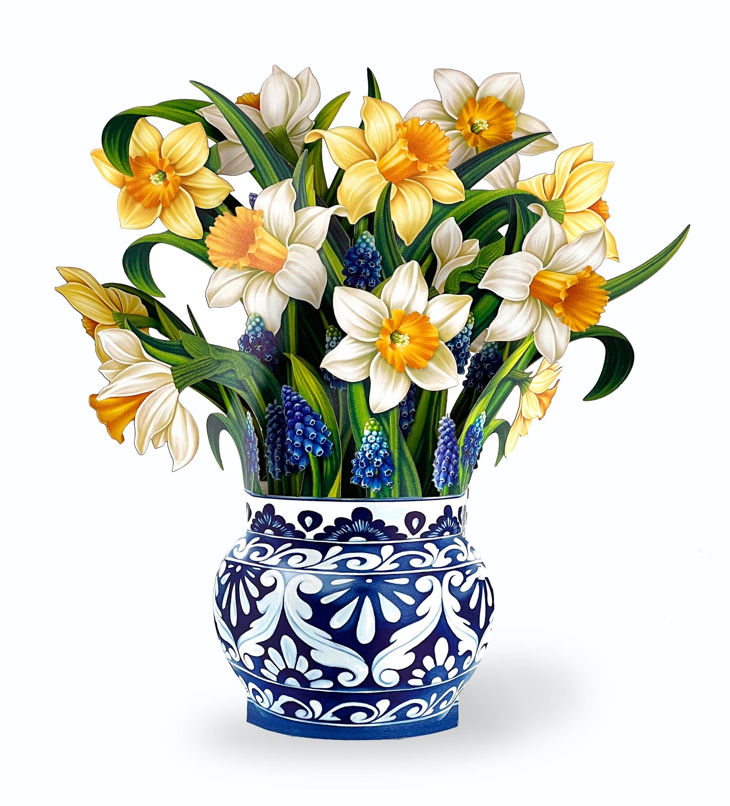 English Daffodils Pop-up Greeting Cards
